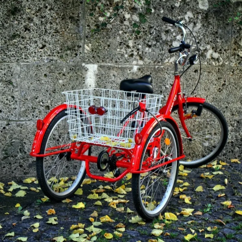 Aboboyaa Cargo Tricycle