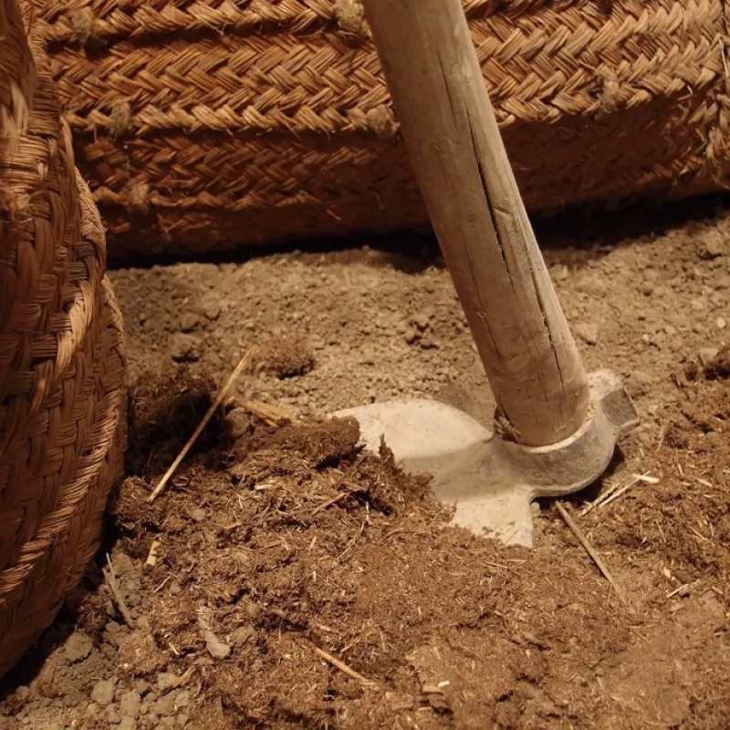 Farm Cutlass and Hoe Set