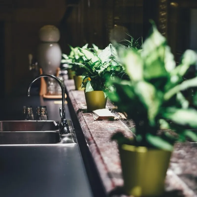 Stainless Steel Double Sink with Mixer